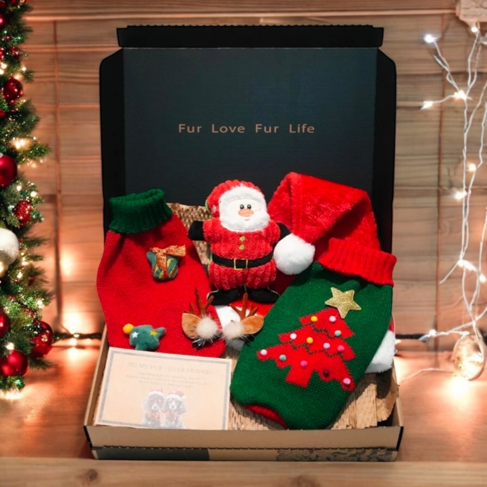 Christmas Dog Gift Box with Santa Hat for Hooman, New